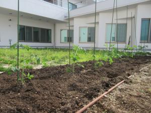 植え付けが終了した花壇